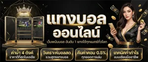 เว็บ เล่น บอล ออนไลน์